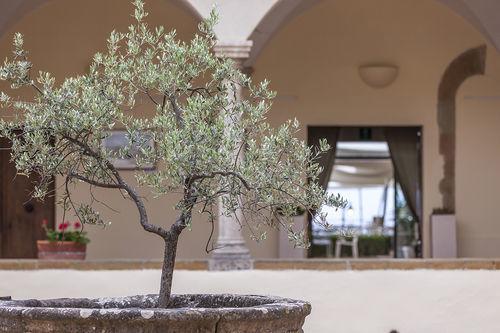 Relais Il Chiostro Di 4* Pienza